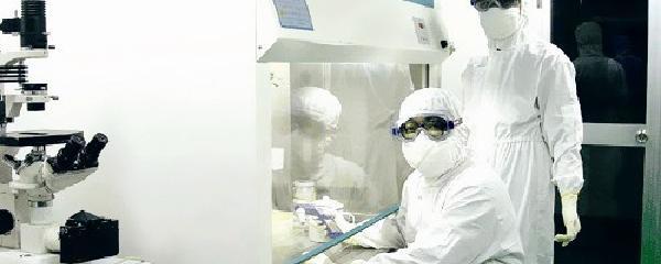 生物安全與生物技術開發 定義、挑戰與前景